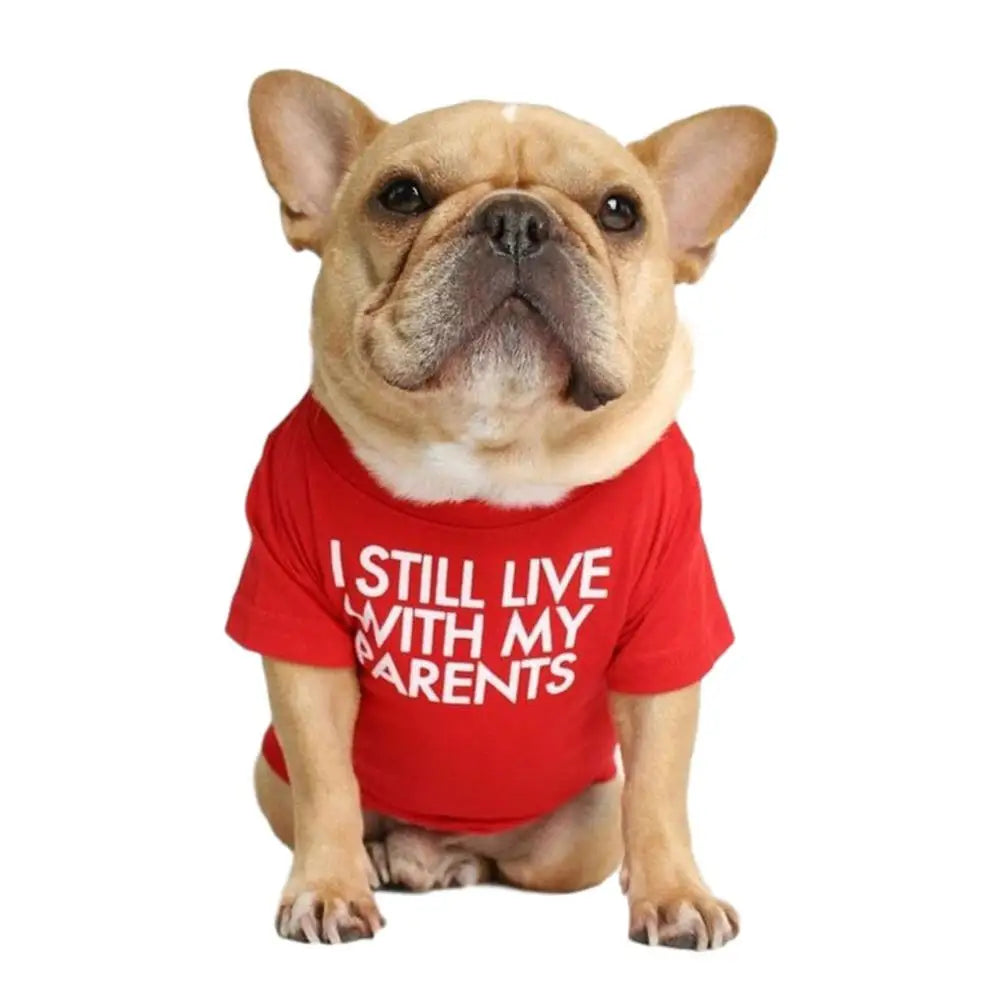 Quality Breathable Summer/Spring Dog Clothes Soft Letters Printed