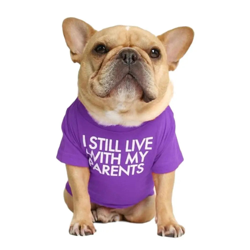Quality Breathable Summer/Spring Dog Clothes Soft Letters Printed