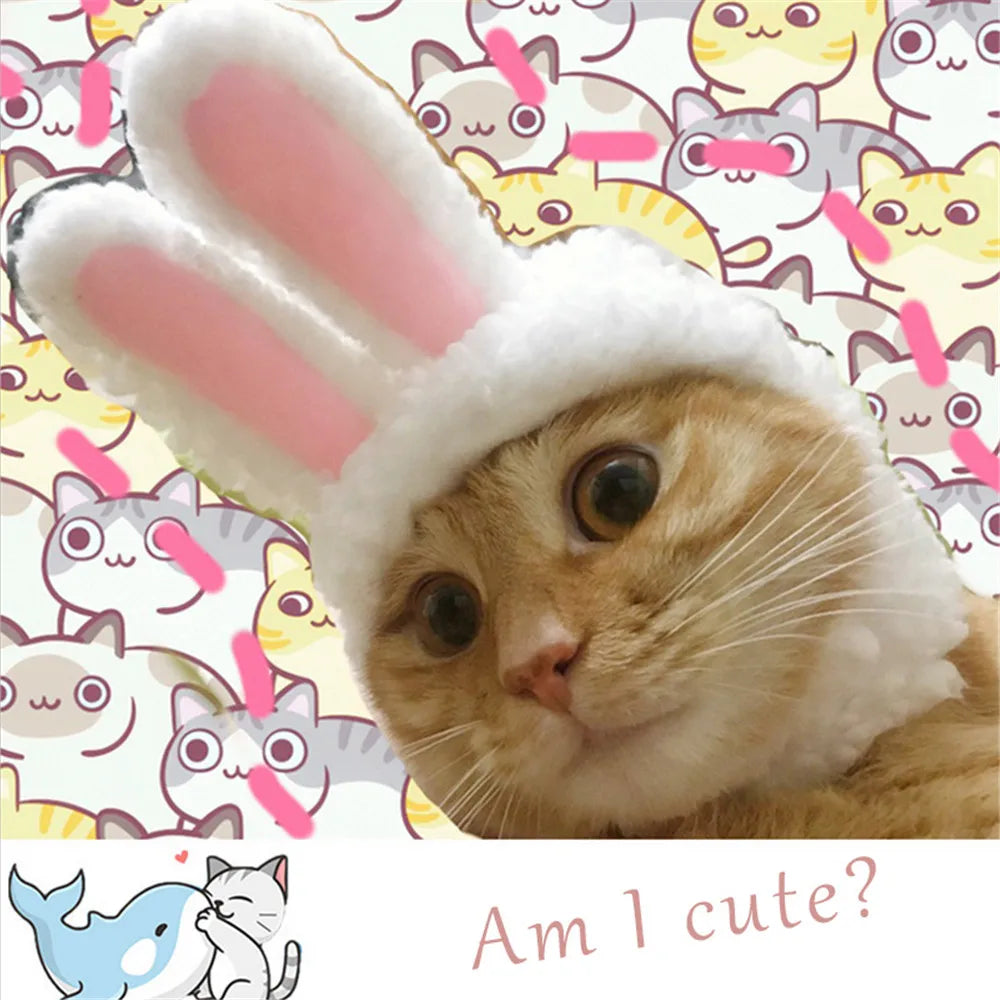 Funny Easter Cat Costume