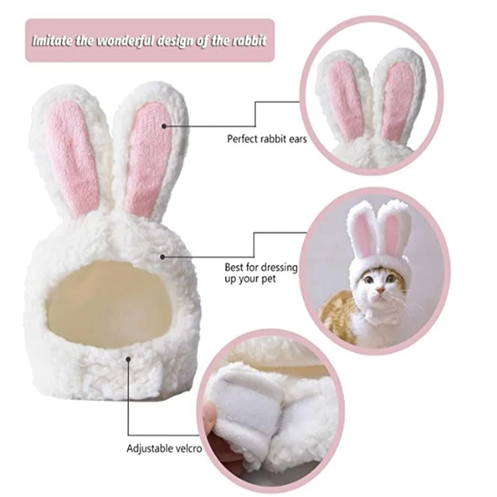 Funny Easter Cat Costume