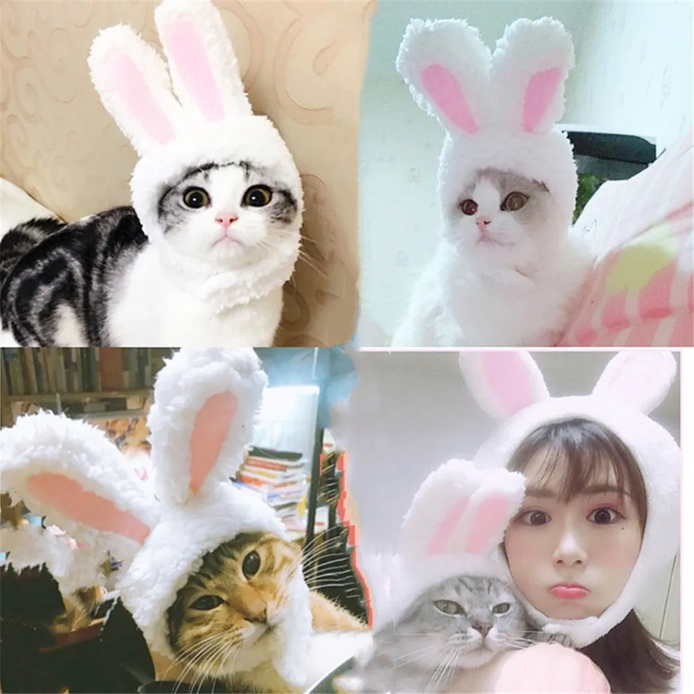 Funny Easter Cat Costume