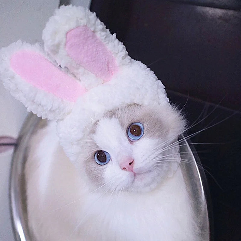 Funny Easter Cat Costume