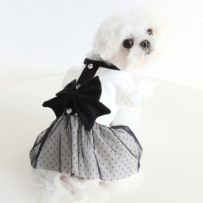 Luxury Dog Dress for Spring Dog