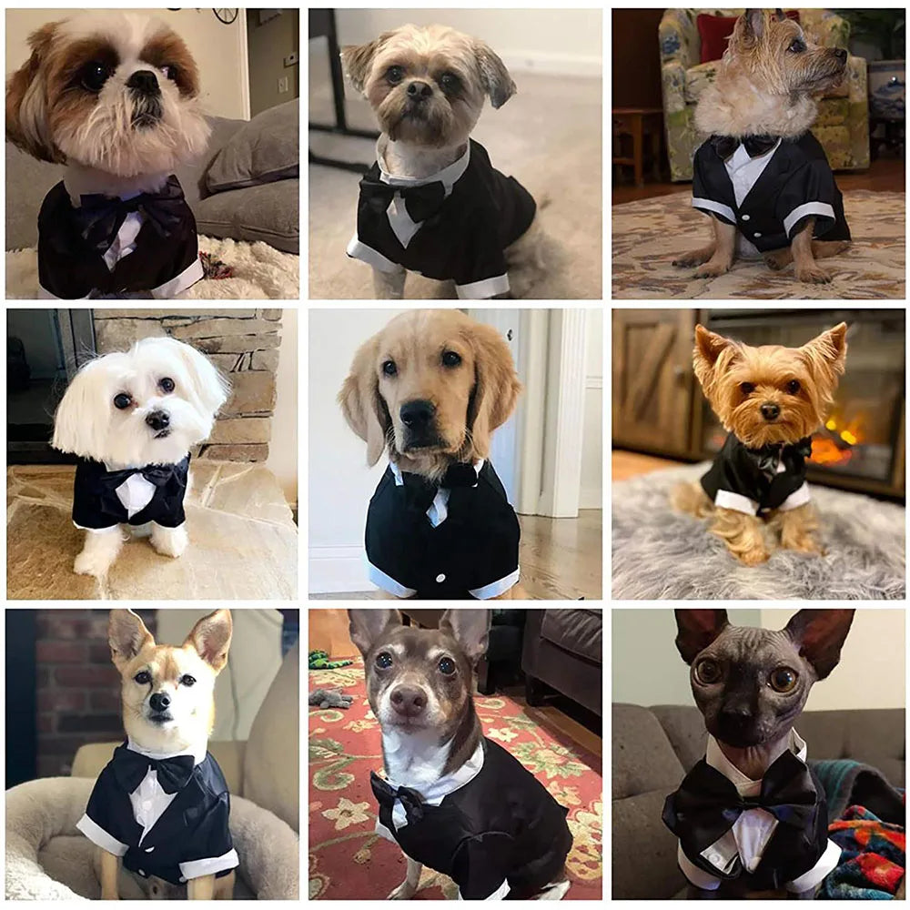 Dog Tuxedo Costume Wedding Party Suit Formal Tuxedo for Dogs Prince Shirt Weeding Attire Elegant Dog Cosplay Apparel
