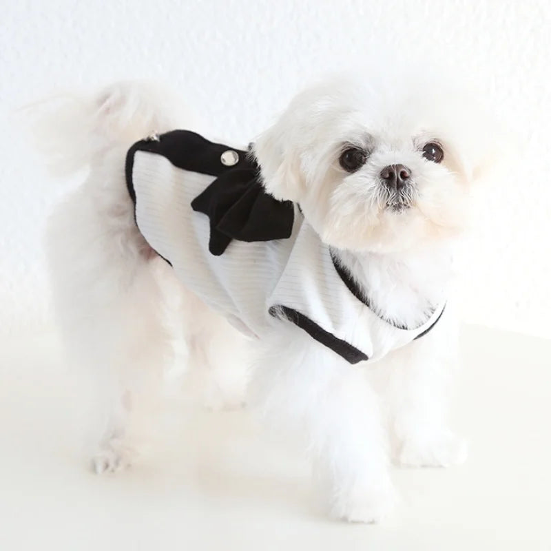 Luxury Dog Dress for Spring Dog
