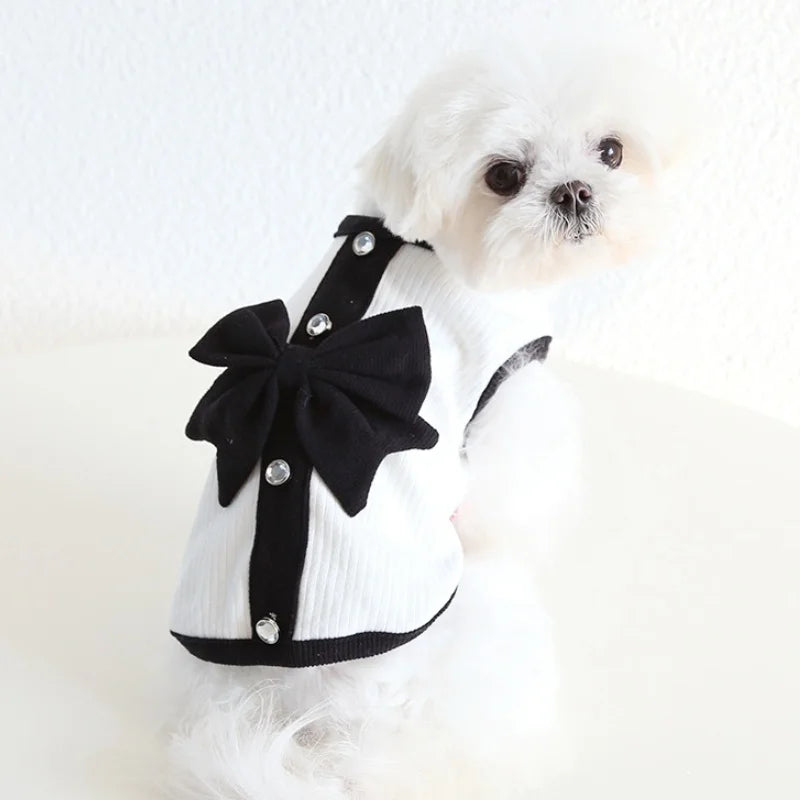 Luxury Dog Dress for Spring Dog