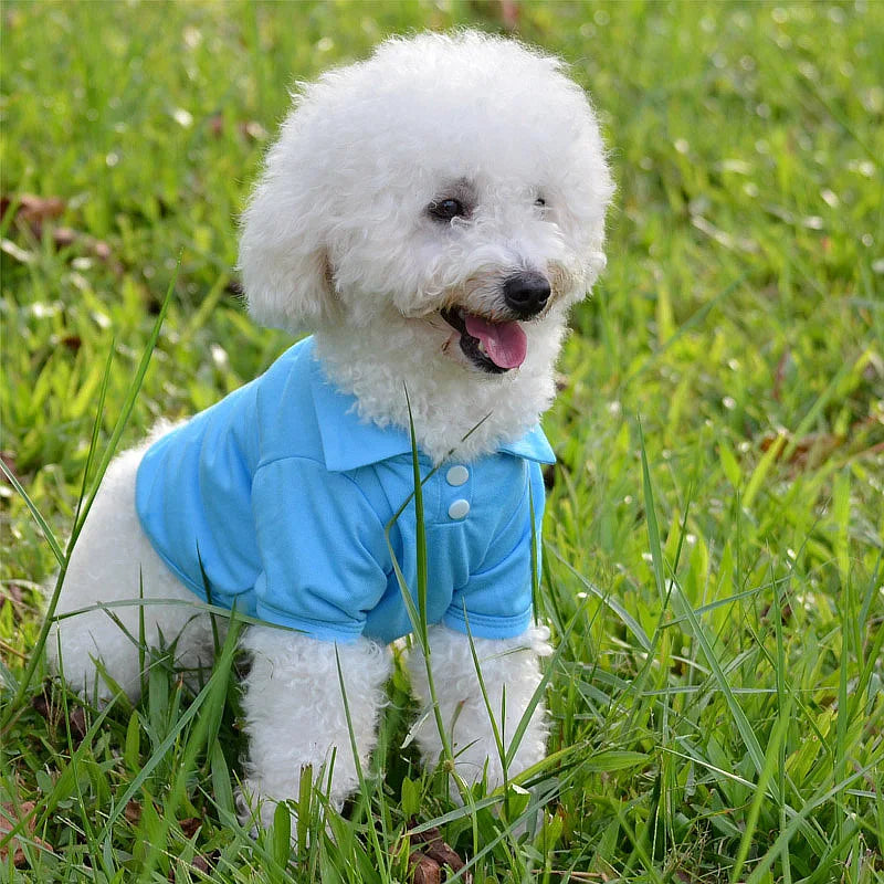 Spring Dog Shirts 6 Candy Colors Vest Pet Polo Collar Breathable Solid Shirts