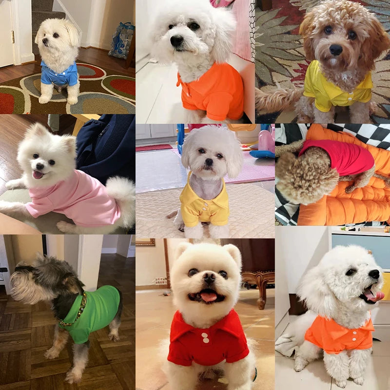 Spring Dog Shirts 6 Candy Colors Vest Pet Polo Collar Breathable Solid Shirts