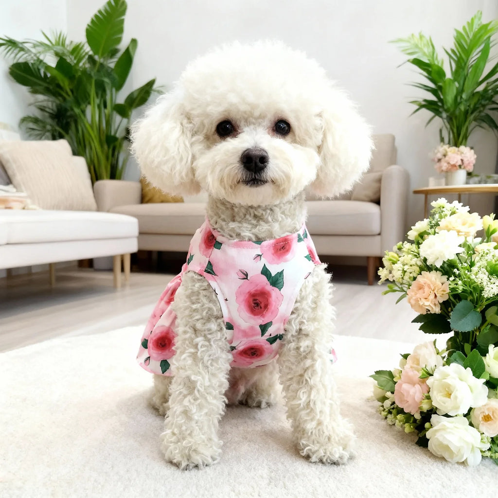 Dog spring summer Dress Outfit for Small Medium Large Breeds Pet Clothes