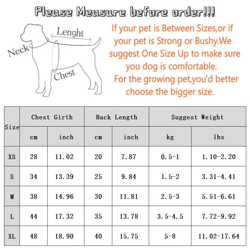 Luxury Dog Dress for Spring Dog