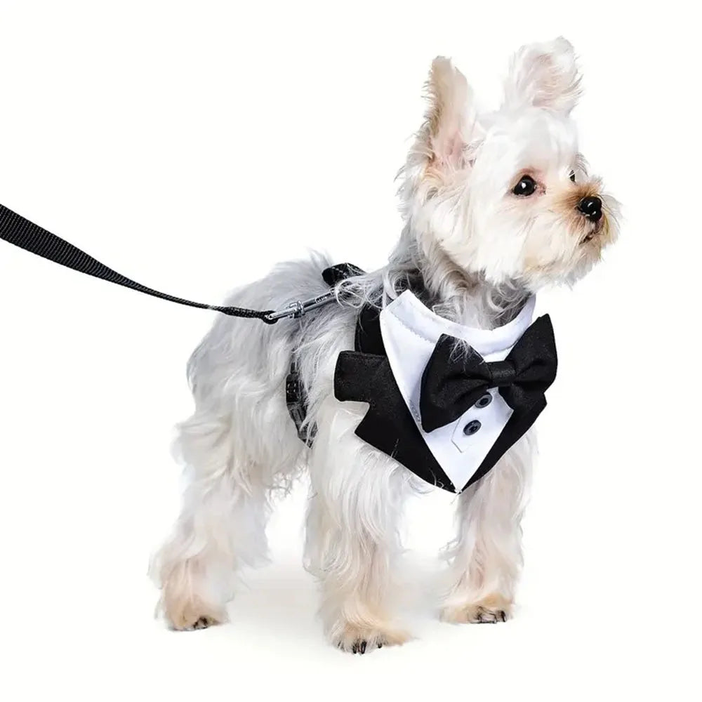 Dog Tuxedo Costume – Formal Wedding Suit with Bow Tie for Small Dogs & Cats