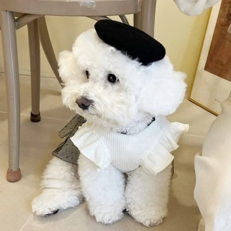 Luxury Dog Dress for Spring Dog
