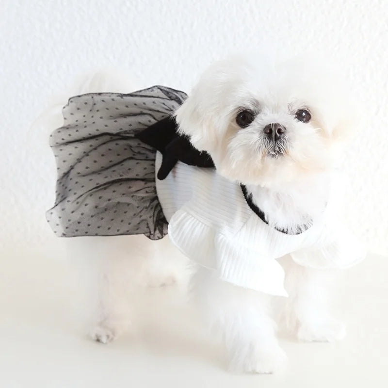 Luxury Dog Dress for Spring Dog