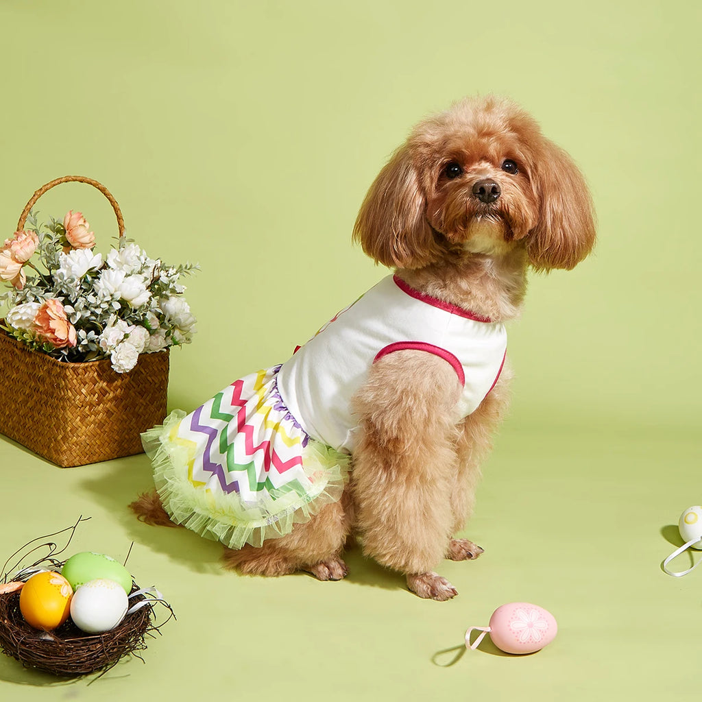 Easter Pet Dress with Colorful Egg & Bow, Rainbow Tulle Skirt, Elastic Waist, Cute
