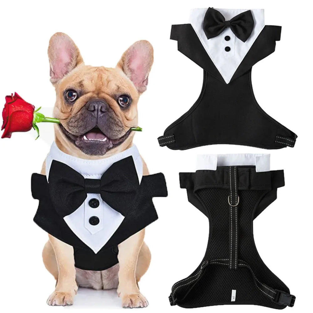 Dog Tuxedo Costume – Formal Wedding Suit with Bow Tie for Small Dogs & Cats