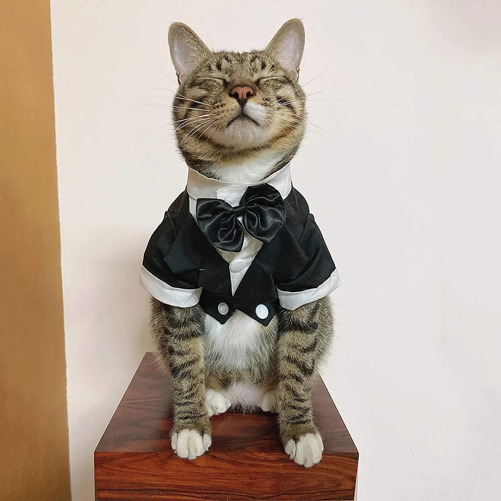 Dog Tuxedo Costume Wedding Party Suit Formal Tuxedo for Dogs Prince Shirt Weeding Attire Elegant Dog Cosplay Apparel